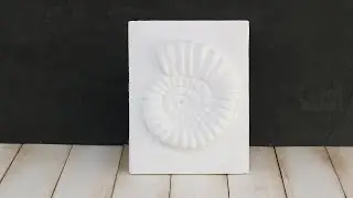 How to make a SHELL with PLASTER ART/Bas_relief