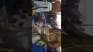 Sri Anna @ Chandi Homam poorthi@ GPM, on 4/6/2023(5)