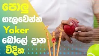 පොලු ගැලවෙන Yoker බොල් දාන හැටි|How to Bawling a Yoker ball |SL Bawling 