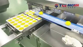 How to Make Mochi? Let TGmachine Mochi Forming Machine Helps You!