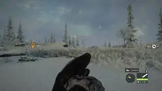 Fox Hunt:  Yukon Valley | theHunter: Call of the Wild