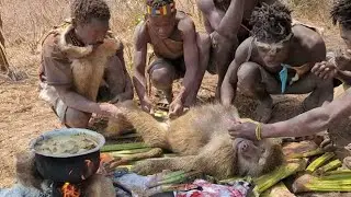 Real Bush Life Hadzabe Successful Hunt & Grill#VillageCooking #African Food! 🍲