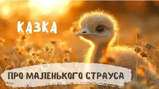 Чому страуси ховають голову