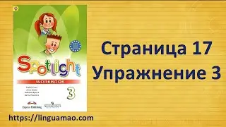 Spotlight 3 класс Workbook страница 17 номер 3 ГДЗ решебник