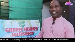 GREEN HEART NURSERY | Tribal Adda