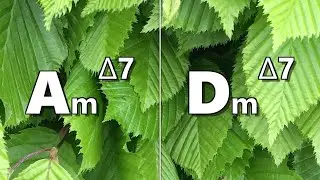 Am maj7 to Dm maj7 Backing Track