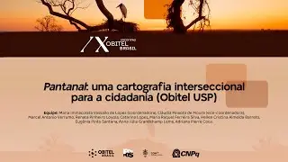 PANTANAL: UMA CARTOGRAFIA INTERSECCIONAL PARA A CIDADANIA (OBITEL USP)