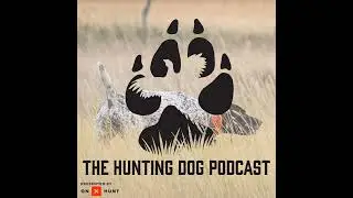 Where do puppies come from? Line breeding 101