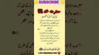 Advice Hazrat Muhammad S.A.W💞#muhammadﷺ #wisdom #knowledge #islam #quran #quotes #shorts #viral