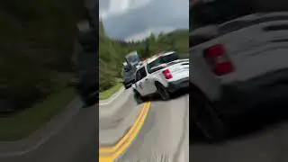 Bison traffic in Yellowstone #shorts #fypyoutube #bisonlove #bison #wildlife #wildbison #yellowstone