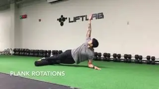 Plank Rotations