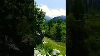 Kumrat Dir Amazing Seen