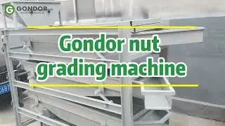 Gondor Peanut Sorting & Grading Machine &ndash; Efficient Groundnut Processing Solution #nutprocessing