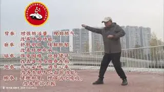 Wu Xing Jiben Gong (五行基本功) - Foundation Work, Song Style Xingyi Quan (宋氏形意拳), Zhai Jilin (翟继林)