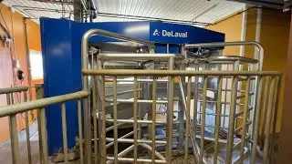 Köp Mjölkanläggning De Laval VMS med 2st robotar komplett på Klaravik