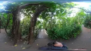 Burger's Zoo - Bush #2 - VR360