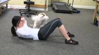 Examples of Fido Fitness