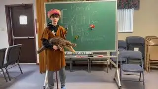Martin's Exotic Pets