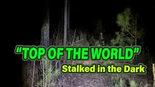 Stalked in the Dark &ndash; Top of the World Investigation