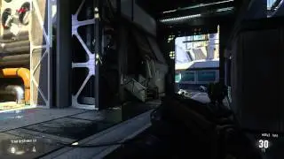 Advanced Warfare royalty camo glitch