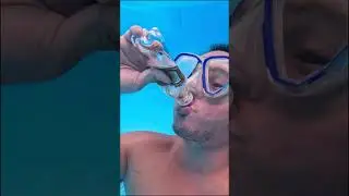 Burp Fruit Soda Dalandan vs Root Beer Underwater