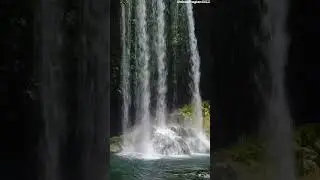♫Nhạc thư gi&atilde;n đầu &oacute;c, giảm stress hiệu quả🌿
