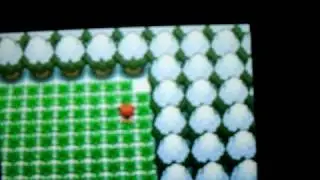 Two Shiny Sneasels in a row (with shiny patch)