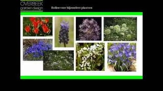 BLOEMBOLLEN GEVEN JE TUIN KLEUR