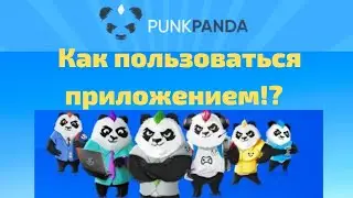 Pink Panda как пользоваться приложением!?