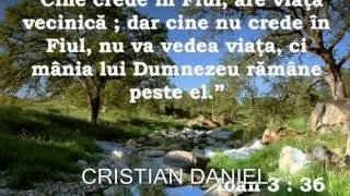 MARIUS DELA BARBULESTI VOL 10 DRUMU SLAVEI