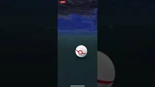 Pok&eacute;mon Go Shadow Magmar