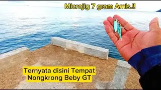 Perdana!! Mancing Casting di Dermaga Bersama Bocil!! Microjig 7 gram Ampuh Buat Beby GT..