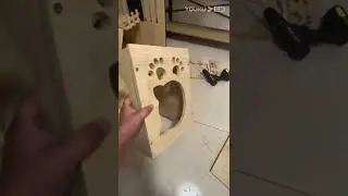 （4）General interior video 3--cat-head jumping platform, space capsule, and cat scratching posts.