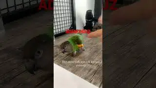 NEREDE KALMIŞTIK