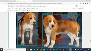 OBJECT DETECTION IN PYTHON PART 6- RUN OBJECT DETECTION DETECTION MODEL FOR CUSTOM IMAGES