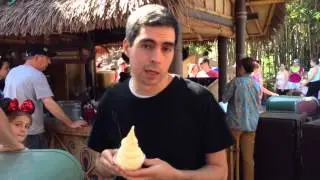 Disneyland's Dole Pineapple Whip