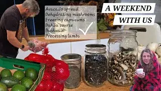 A WEEKEND FULL OF HOMESTEADING ACTIVITIES WITH US on the Bush Edge Homestead in Australia