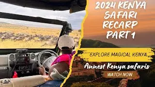 2024 Safari Recap Part 1: Thrilling Safari Highlights