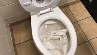2019 Mansfield Adriatic TP Test