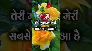 तेरी मुस्कान मेरी सबसे बड़ी दुआ है | Shayari Video Hindi | love shayari video | love #lovesahayari