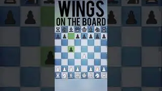 Wings on the board. Beautiful Wing gambit