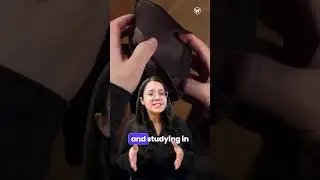 Danish Government Scholarship | Study in Denmark for Indian Students | Scholarships in Europe #short