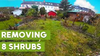 THIS Looked Easy…Removing 8 Shrubs Was Hard Work