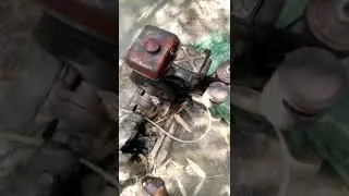 Yanmar TS 105