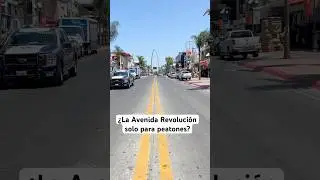 &iquest;La Avenida Revoluci&oacute;n solo para peatones?