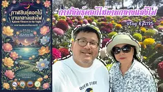 ชมงาน กาฬสินธุ์ดอกไม้บานกลางแสงไฟ 2026 : VLOG Ep.175