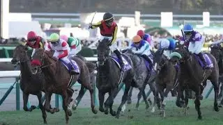 【感動】有馬記念でファン涙！尻尾に気づいた瞬間「夢見させてもらった」「胸に来るよ」