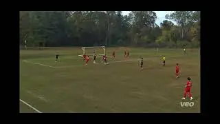 Amato Pepe 2026 st/w/rm/rb fall 25 match film