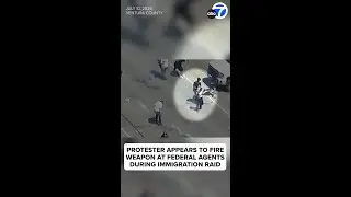 Immigration raid: Protester appears to fire gun at federal agents at SoCal farm