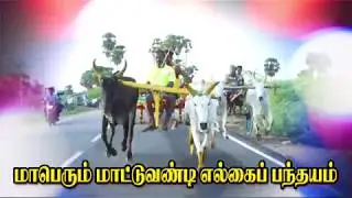 SP Pattinam Panthayam Add 14.08.2019 |AmuthamStudio